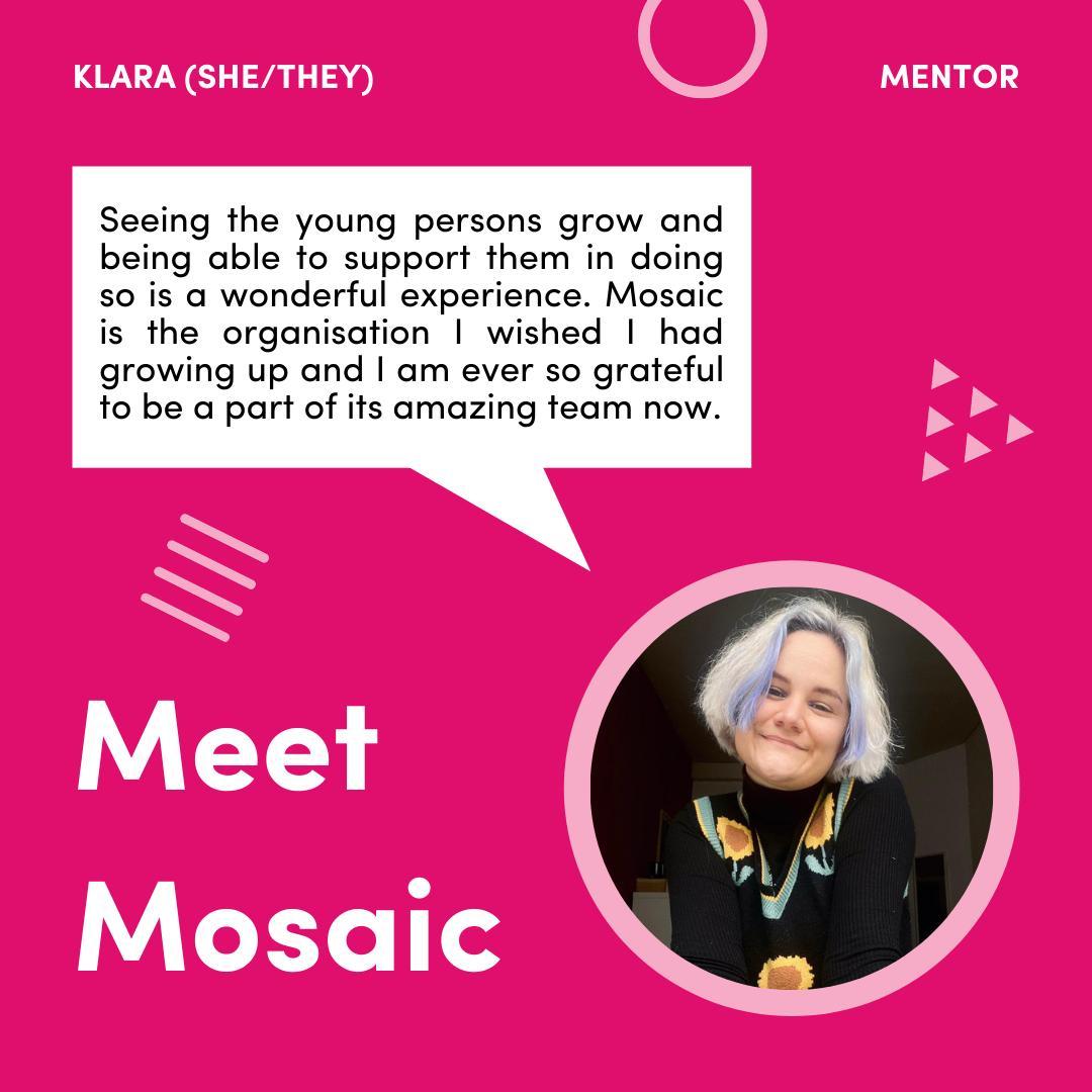 Digital content for Mosaic Trust with the title 'Meet Mosaic' and contains a speech bubble with a person that tells their experiences in Mosaic.