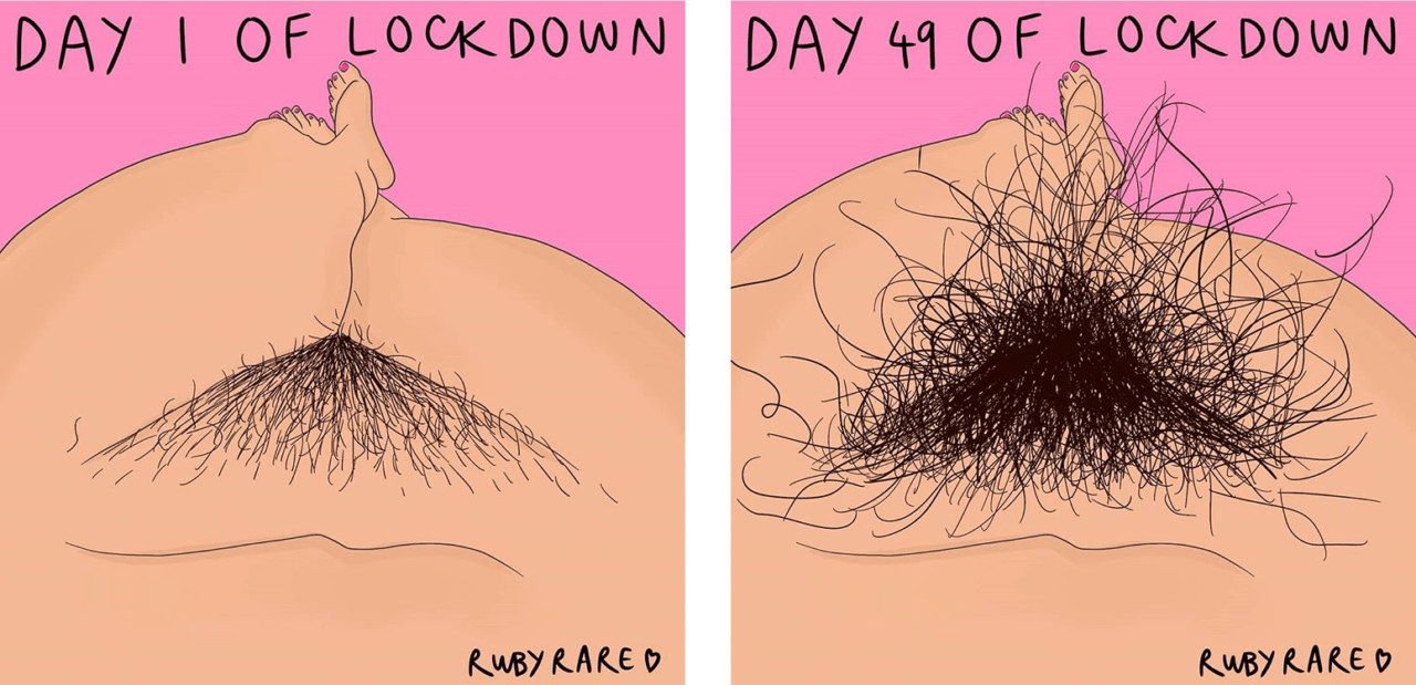 Two infographics side by side. On the left showing less pubic hair with a headline 'DAY 1 OF LOCKDOWN' and on the right showing more pubic hair with a headline 'DAY 49 OF LOCKDOWN'