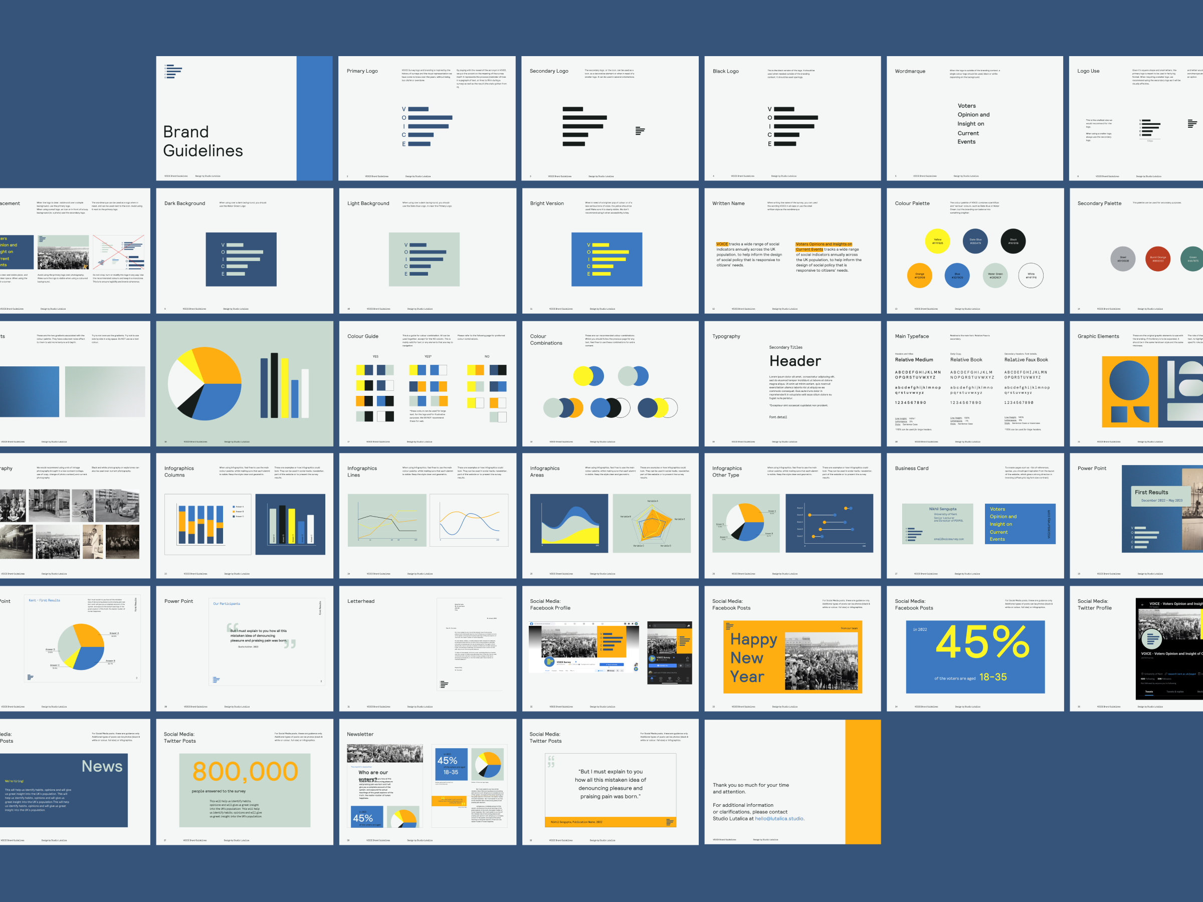 Brand guidelines for the VOICE survey