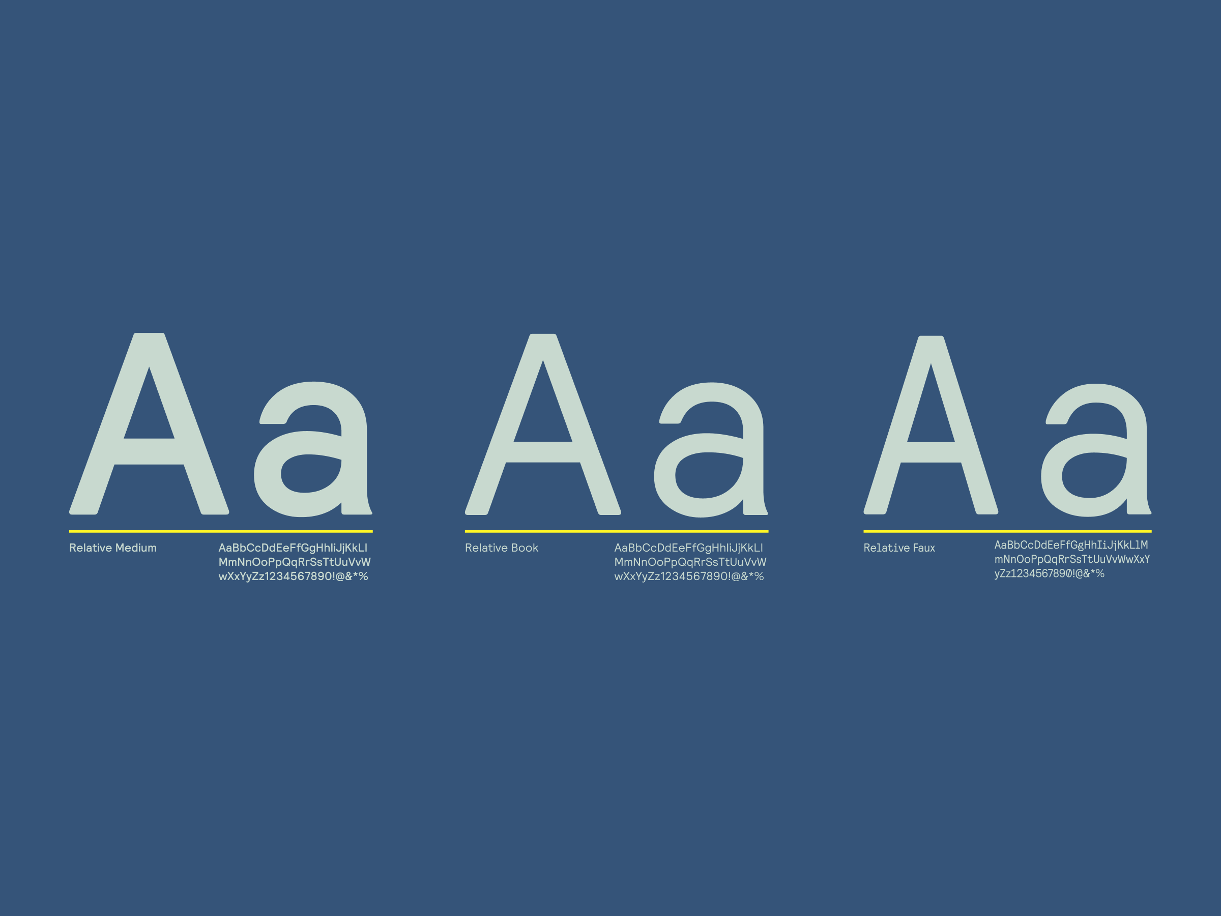 VOICE typography examples: Relative, a clear sans serif font, in various weights